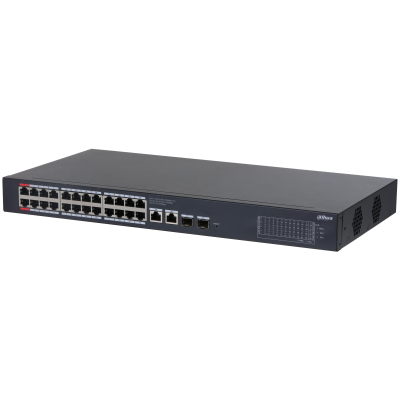 CS4228-24GT-375